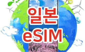 추천아이템 베스트8 esim일본 제대로분석