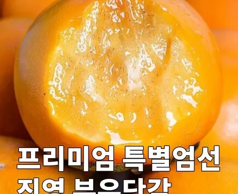 SNS핫템 부유단감 정리추천